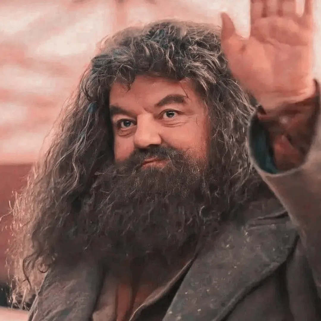 Avatar of Rubeus Hagrid