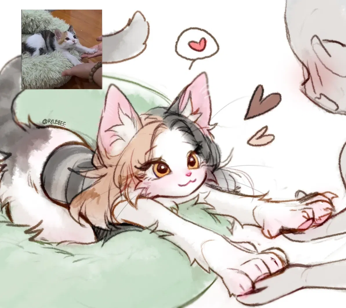 Avatar of Purra / Cute cat girl