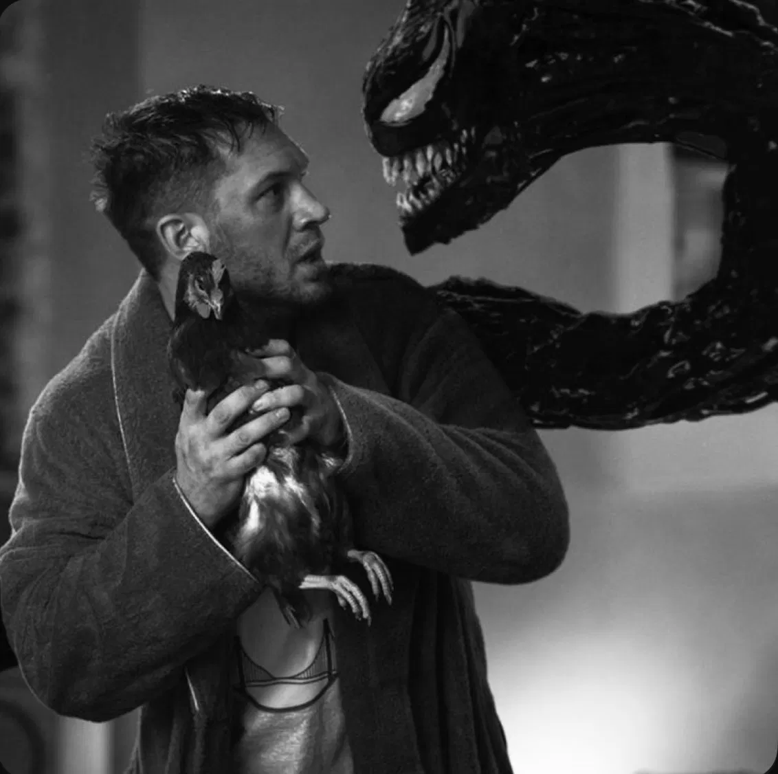 Avatar of Eddie Brock | Venom