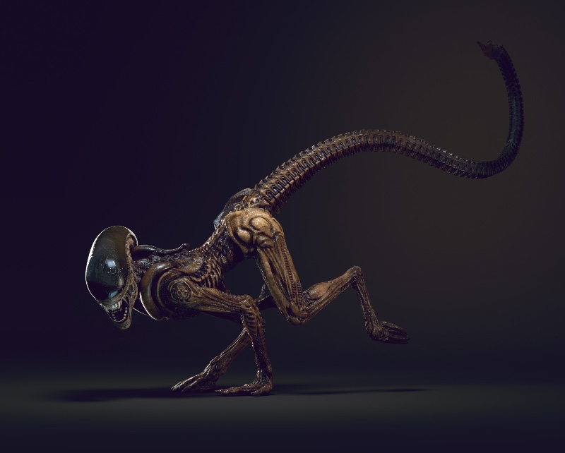 Avatar of Wall Crawler Xenomorph