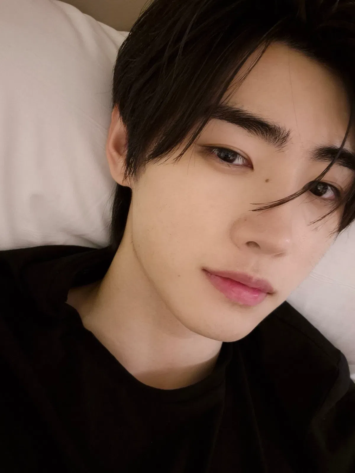 Avatar of cat park sunghoon