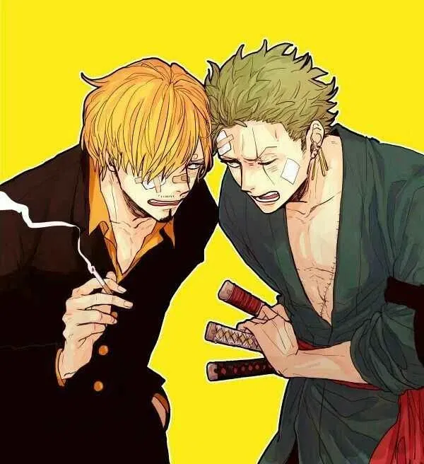 Avatar of Sanji & Zoro