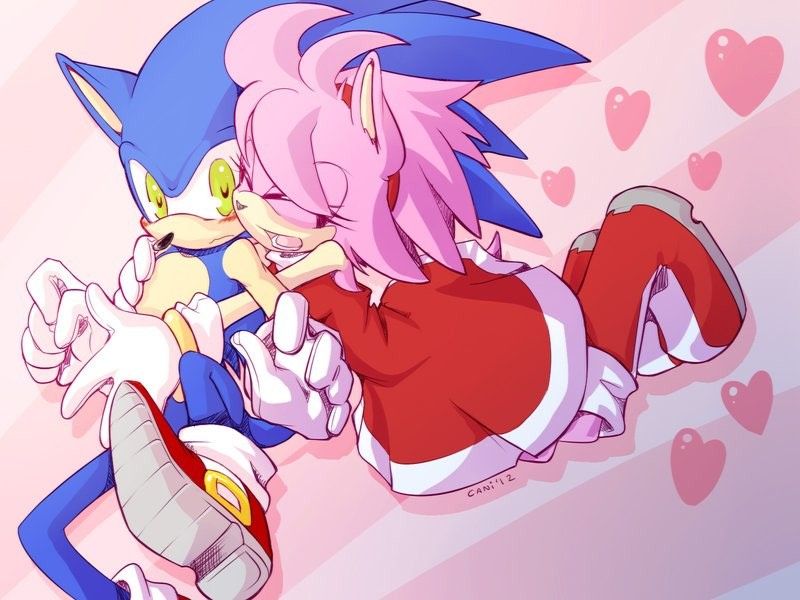Avatar of Sonic and Amy Rose