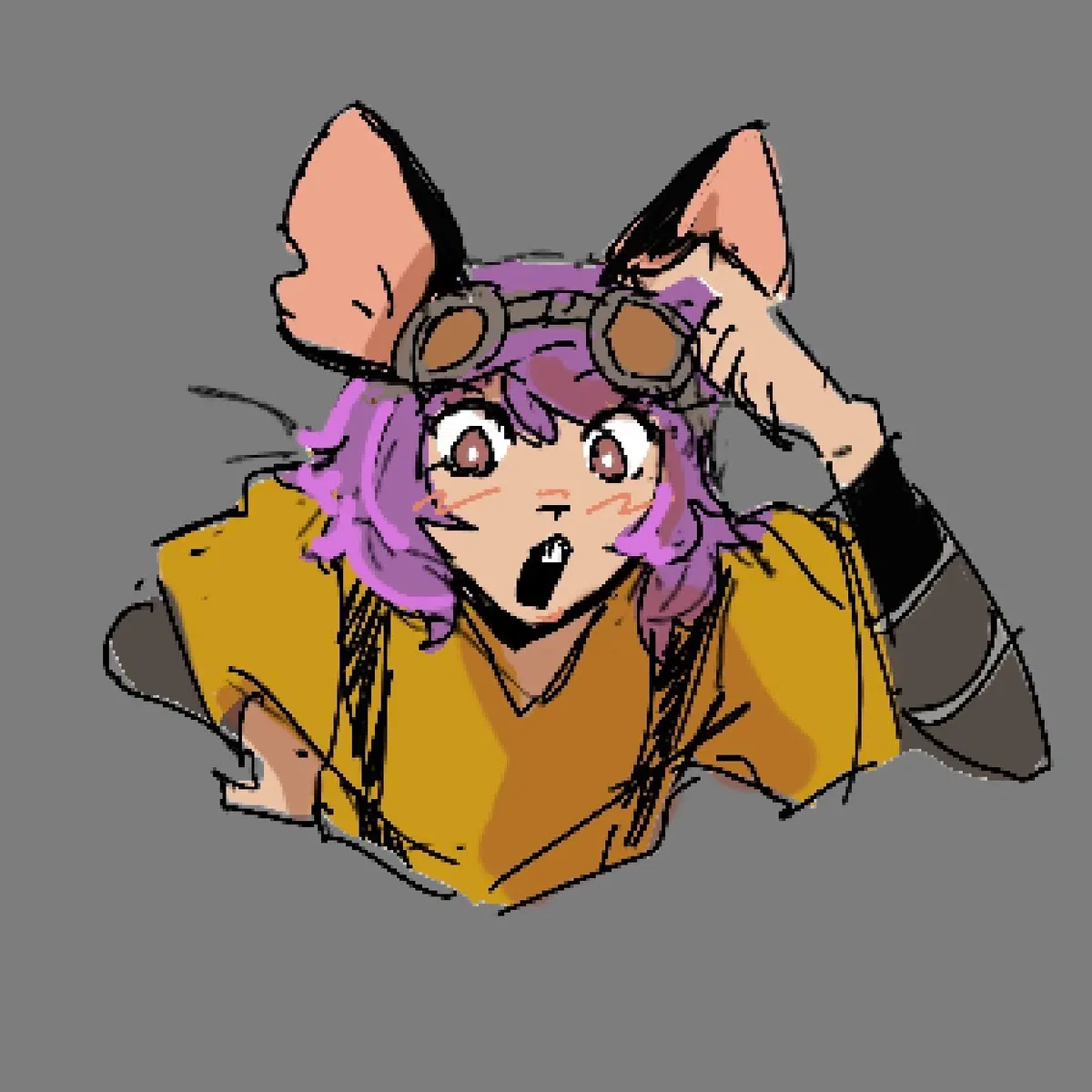 Avatar of Runt - jrwi