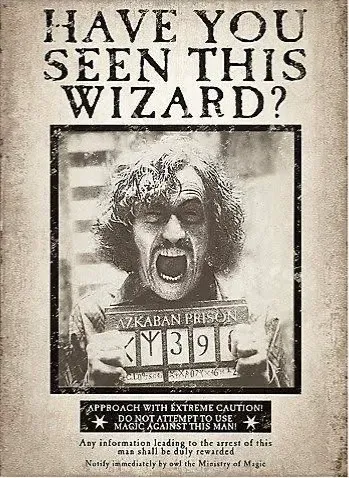 Avatar of Time Warp Sirius Black 