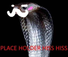 Avatar of Liss your Snake Husband.