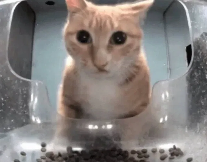 Avatar of DONT ENTER IN HERE OR YOU are going to comment