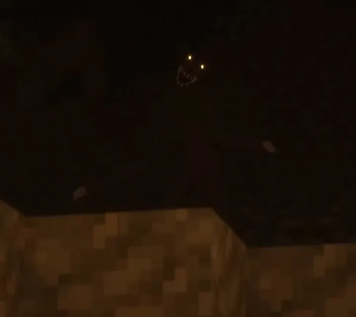 Avatar of Cave Dweller [MINECRAFT]
