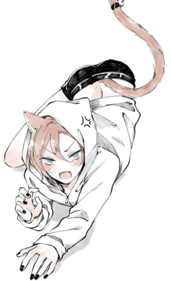 Avatar of Catboy | Jiro