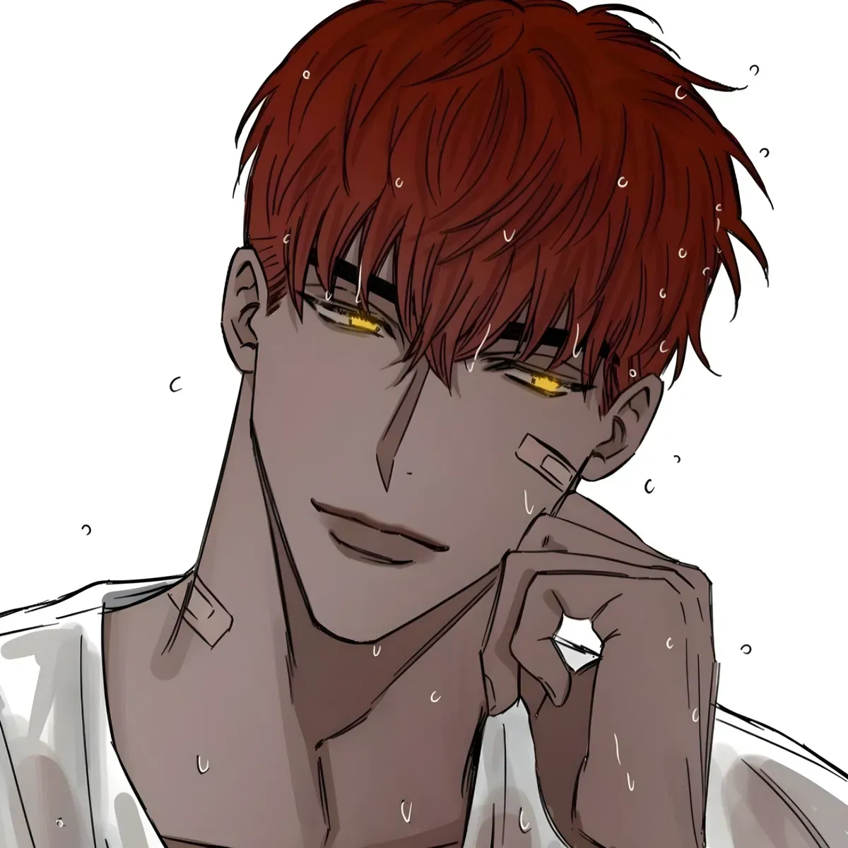 Avatar of Shogo Adachi