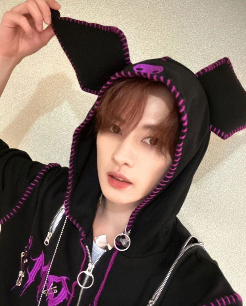 Avatar of Lee know 🐈