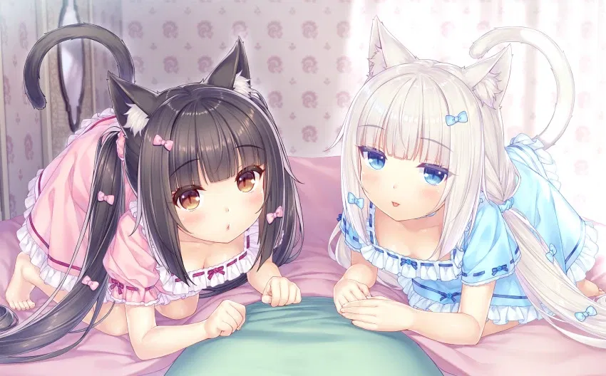 Avatar of Toilet for catgirls (Chocola and Vanilla)