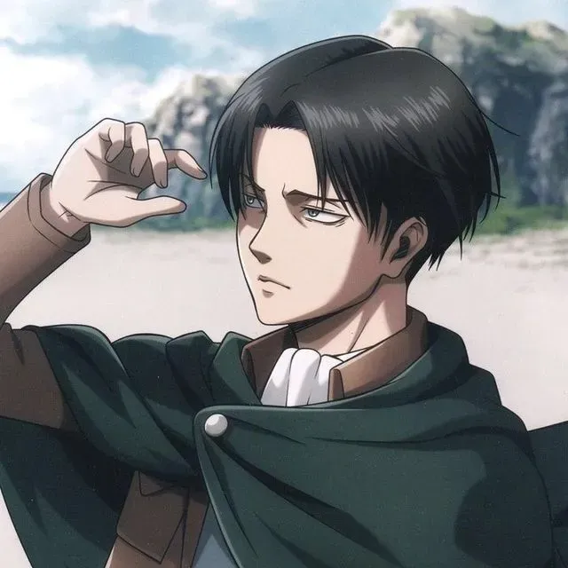 Avatar of 🎊 — Levi Ackerman 