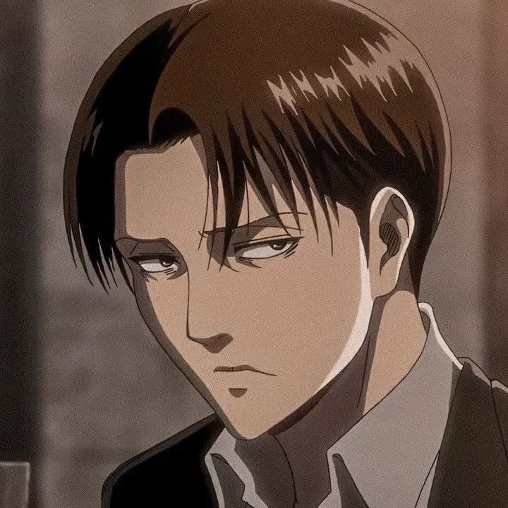 Avatar of Levi Ackerman | 🍥