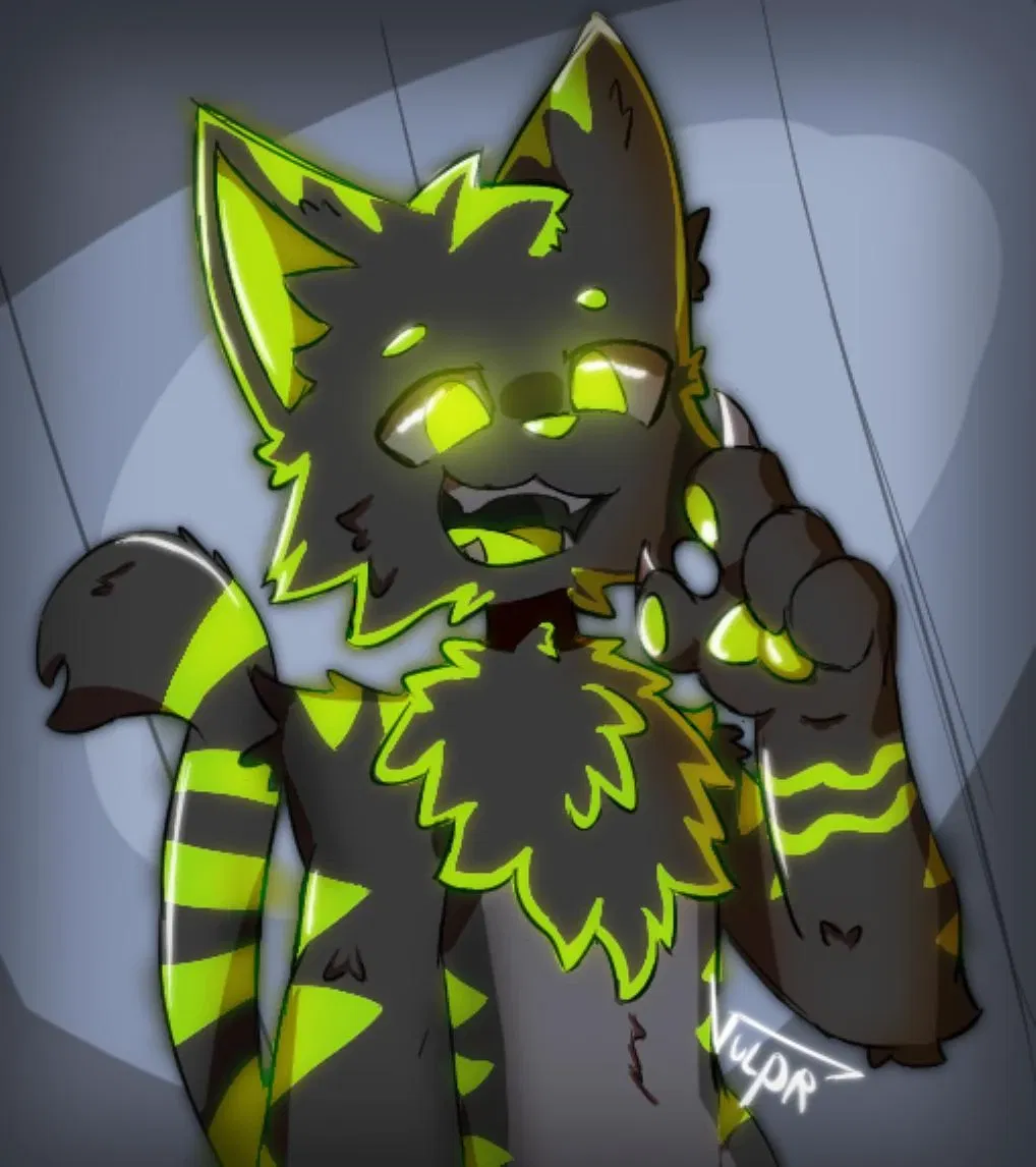 Avatar of Cat crazy