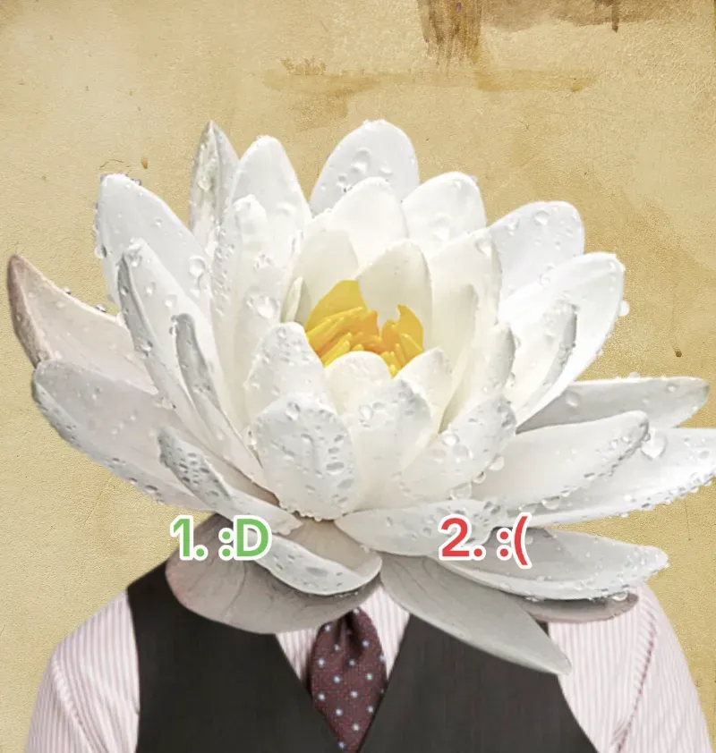 Avatar of Mr. Lily