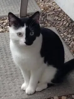 Avatar of Tom