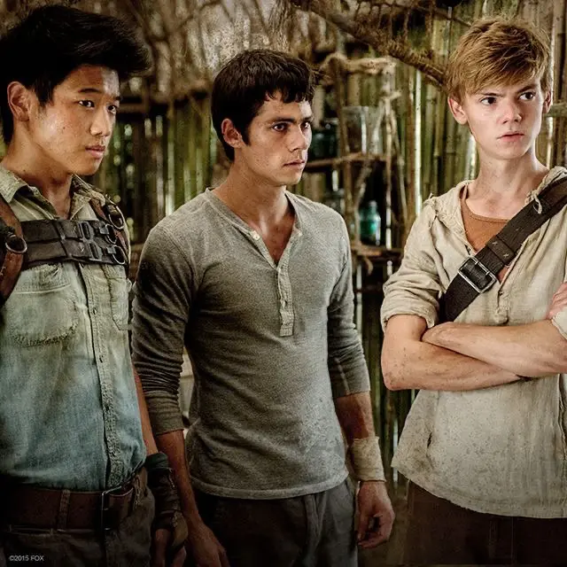 Avatar of The Maze Runner