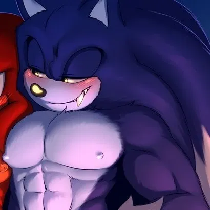 Avatar of Sonic The Werehog - { Shelters You }