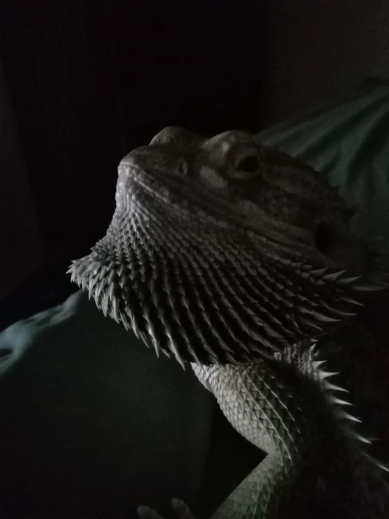 Avatar of Ethan