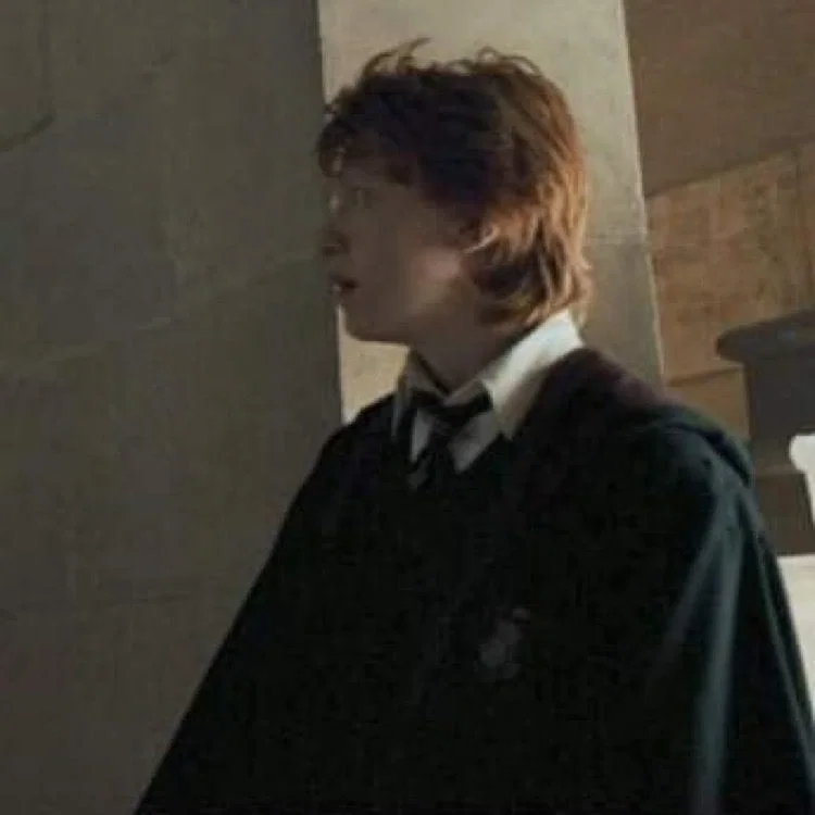 Avatar of ࿔ ✰ ›ron weasley ౨