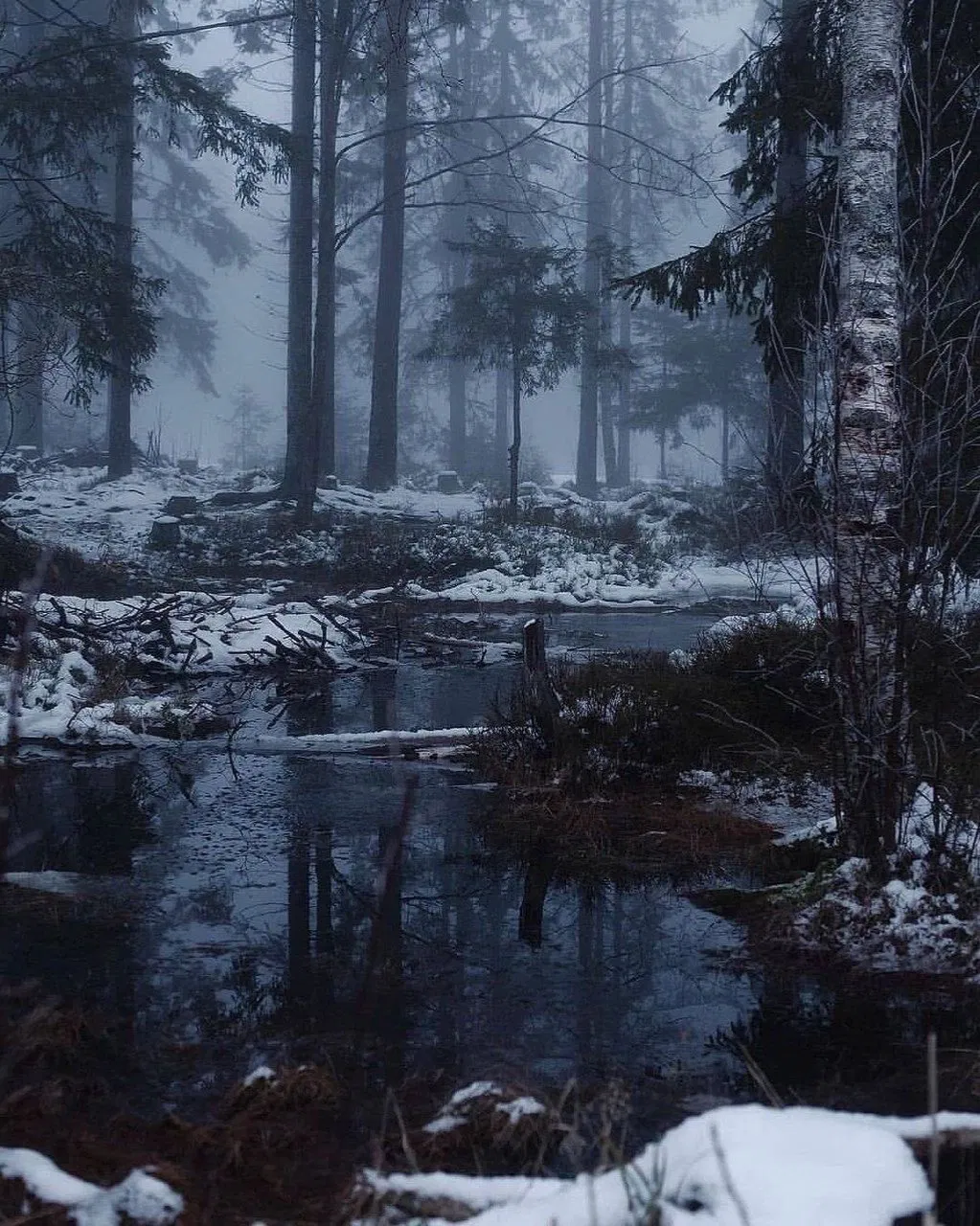 Avatar of Left behind... |~| Stat / Alicia Marise Regretevator
