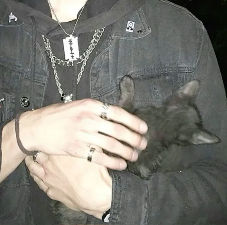 Avatar of Arseniy Vólkov (Арсений Волков)