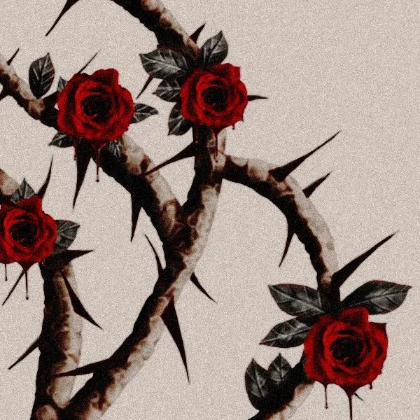 Avatar of 𝓓𝓲𝓸𝓼 °.• 🌹✡