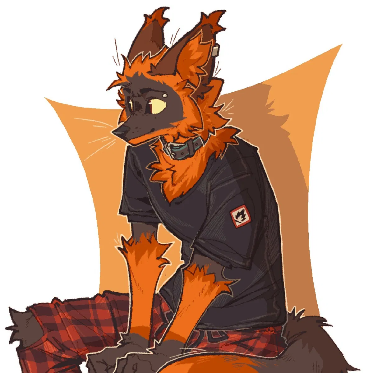 Avatar of Scratch (Main Writer)