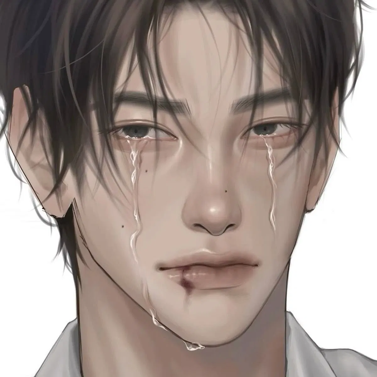 Avatar of Lucien ☘︎