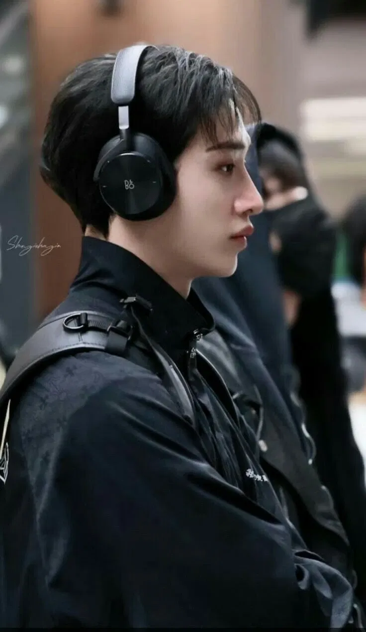 Avatar of Bang Chan — Organs
