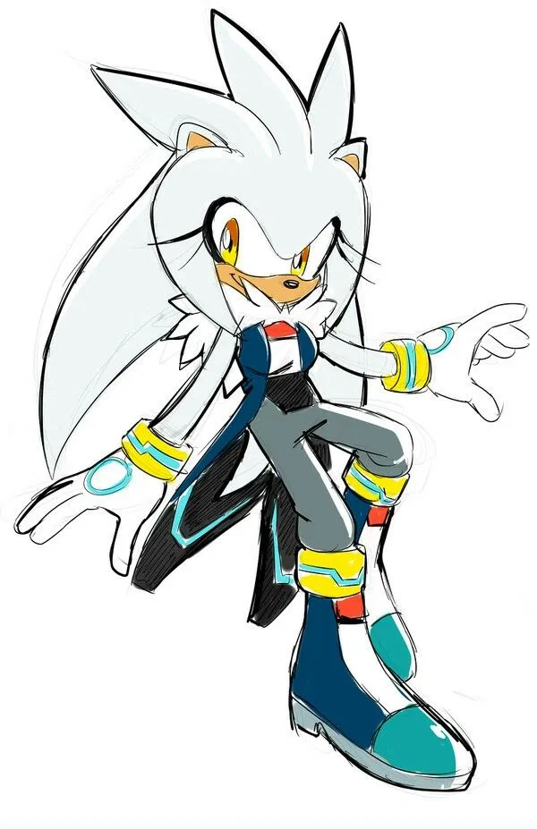 Avatar of Silva the Hedgehog