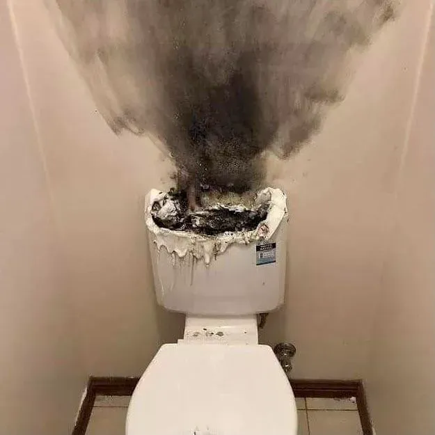 Avatar of The Toilet.