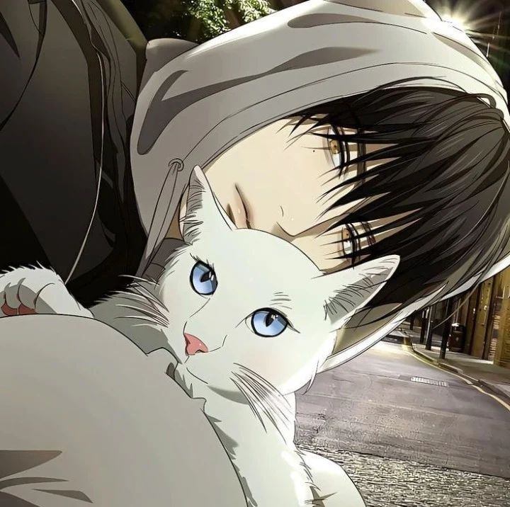 Avatar of Calix