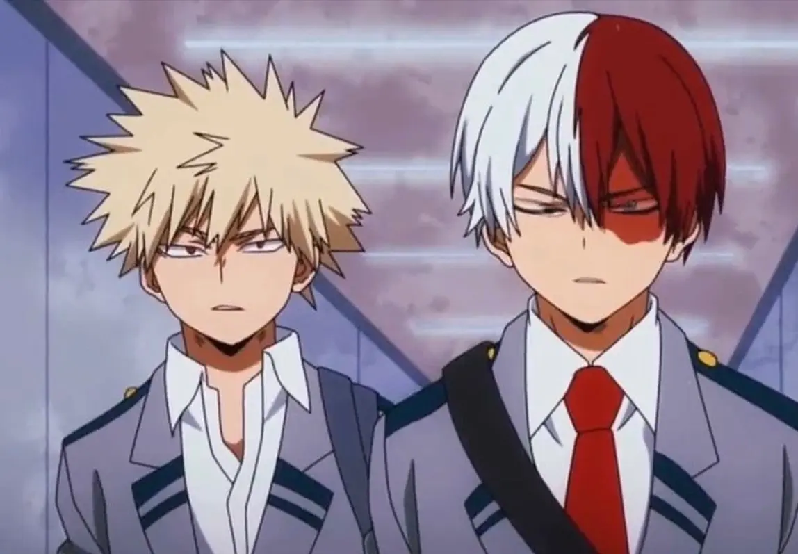 Avatar of Katsuki Bakugo and Shoto Todoroki (War for Y/n’s love)
