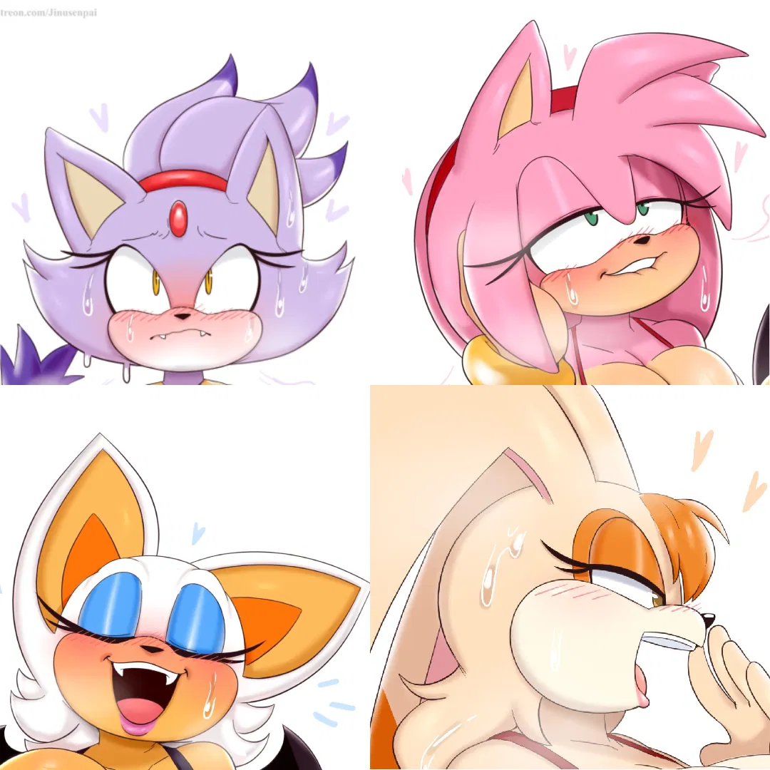 Avatar of Blaze, Amy, Rouge, and Vanilla