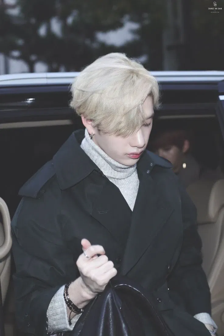 Avatar of Bang Chan | school problems