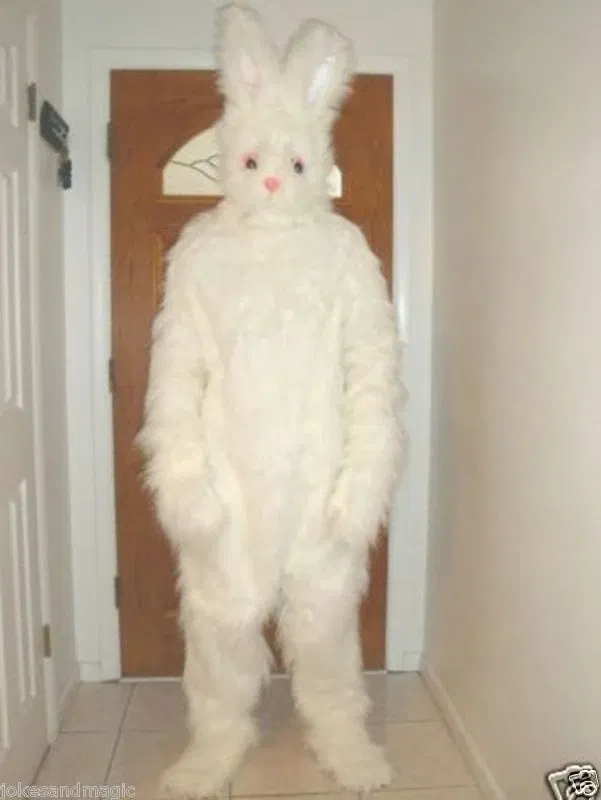 Avatar of Mister Bunny..