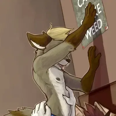 Avatar of ~~Awkward Boner~~