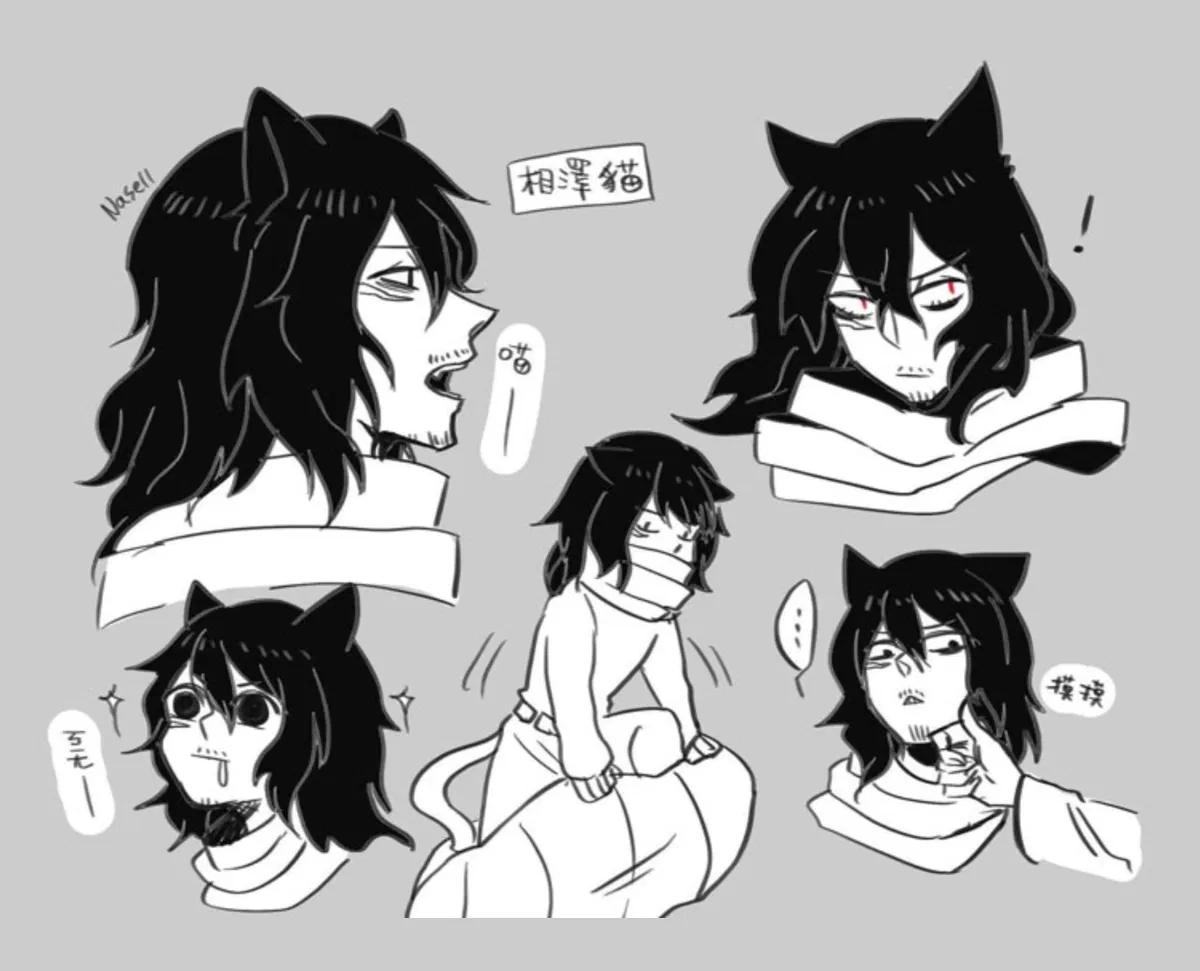Avatar of Shota Aizawa // 🐈‍⬛What A CATastrophe🐈‍⬛