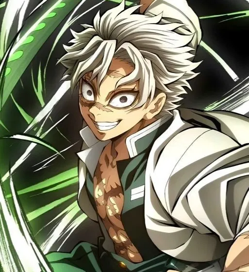 Avatar of Sanemi Shinazugawa