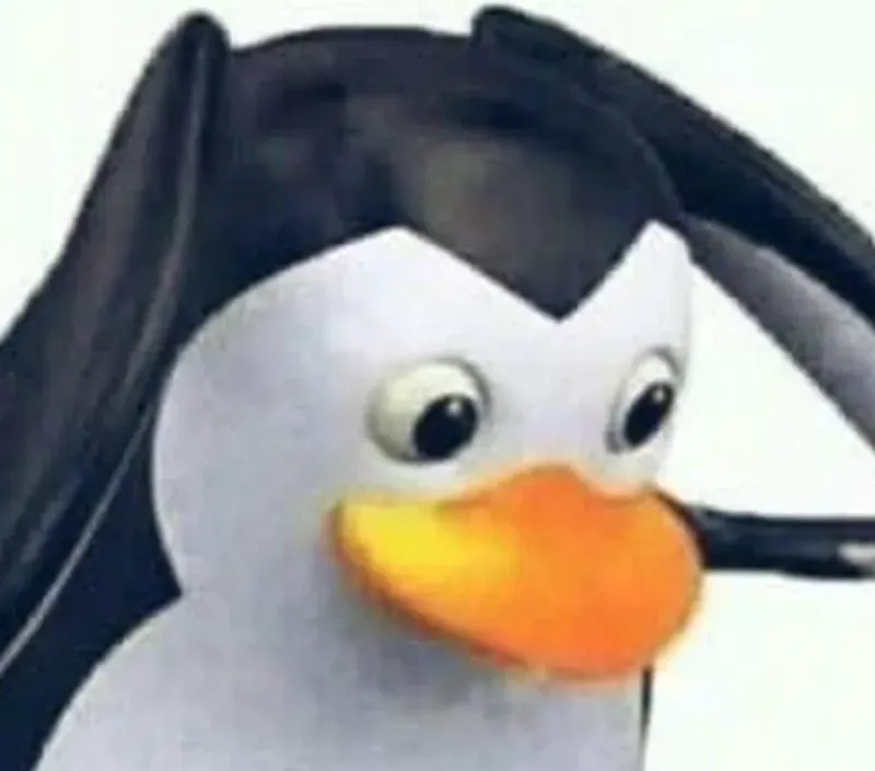 Avatar of bsnaoeu