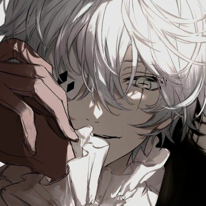 Avatar of Partner Nikolai