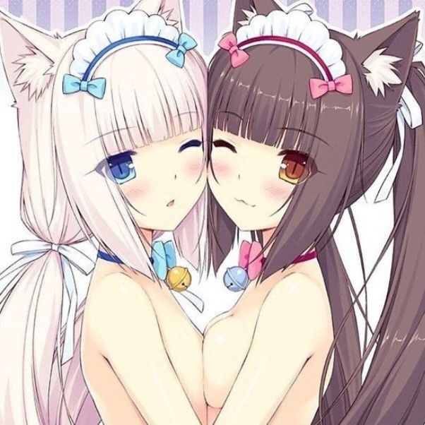 Avatar of Chocola and Vanilla
