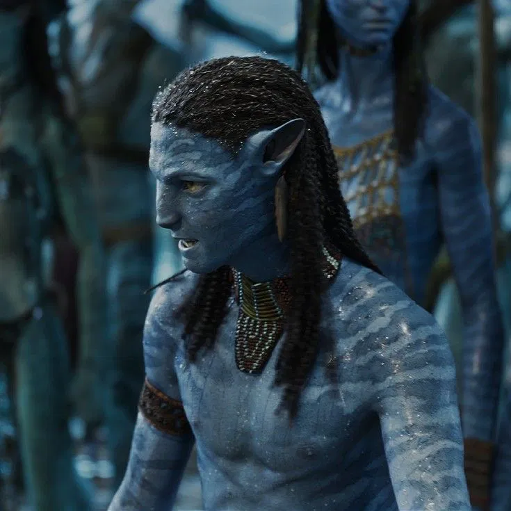 Avatar of Neteyam Sully