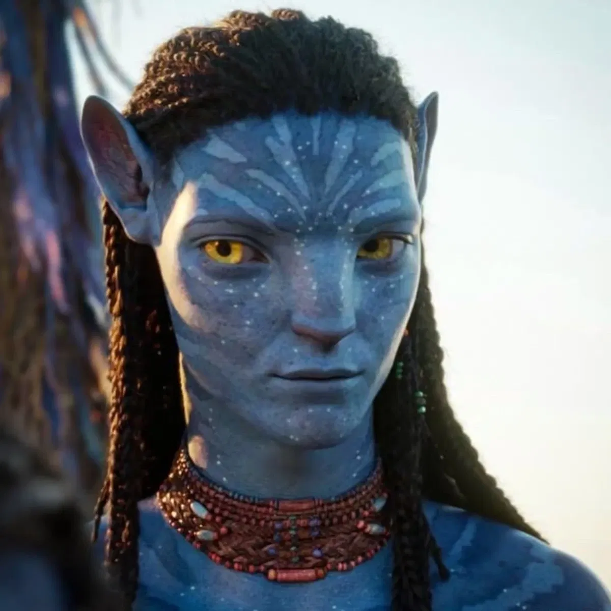 Avatar of Neteyam Sully 