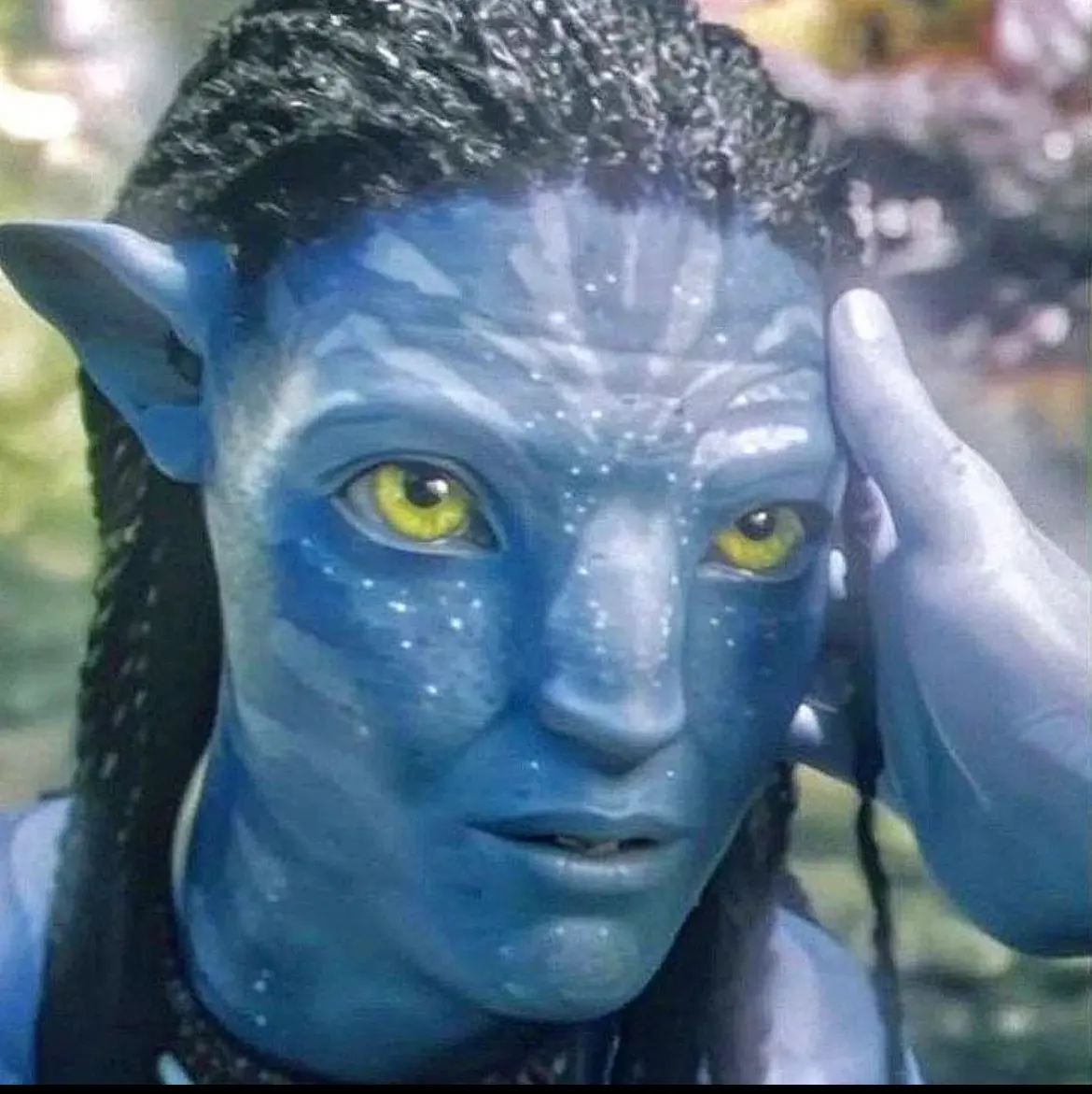 Avatar of Neteyam Sully 