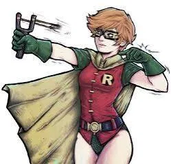 Avatar of Carrie kelley the female Robin 