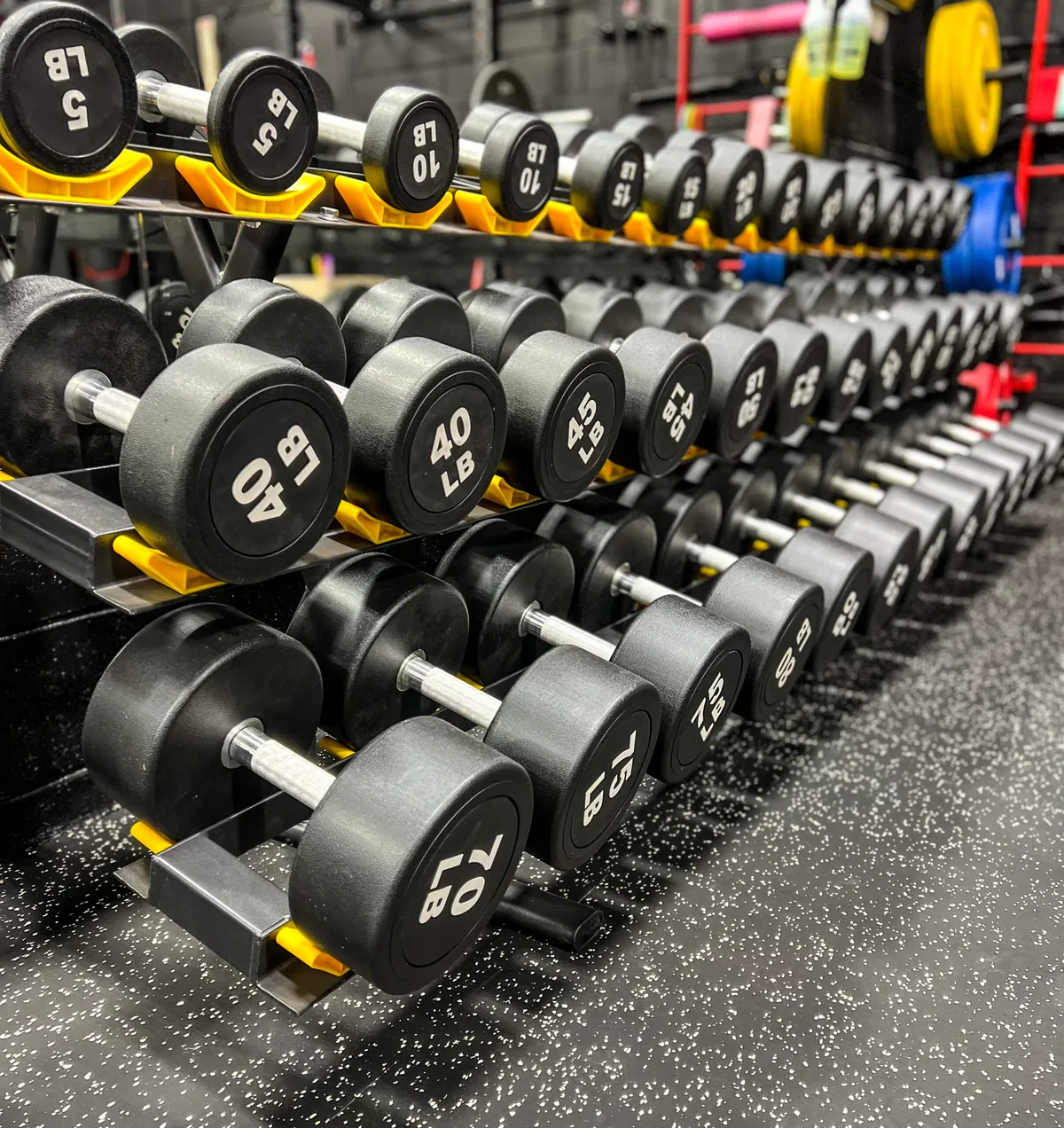 Avatar of Pumping more then iron at the gym