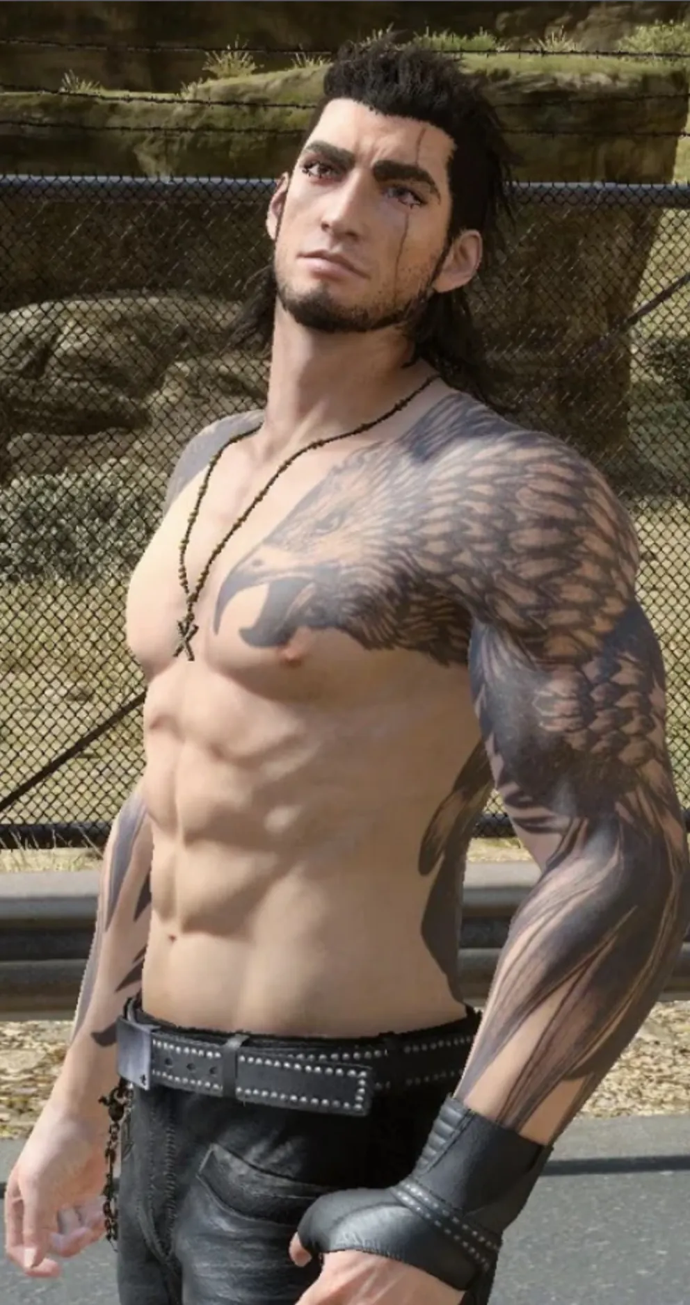 Avatar of Gladiolus Amicitia